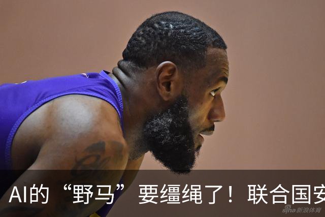 AI的“野马”要缰绳了！联合国安理会与DeepSeek的故事